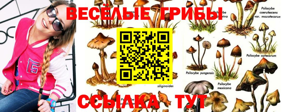 Галлюциногенные грибы мухоморы Боровичи